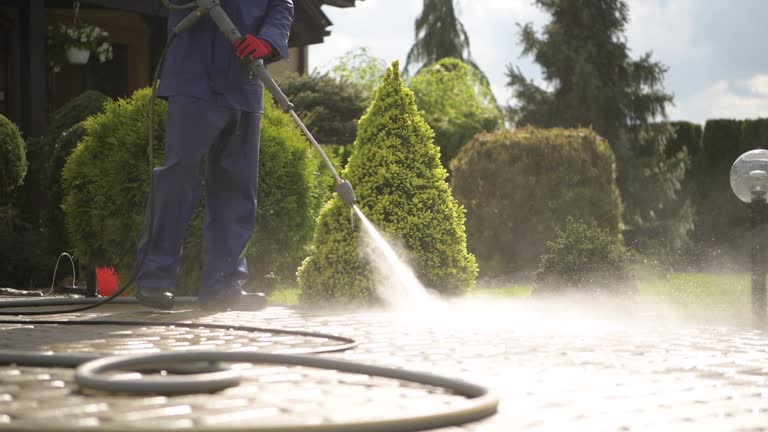 Get the Best Pressure Washing Service Near Me with Clean Life
