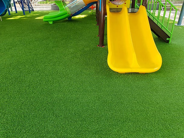 Discover Premium Lawn Solutions with Apex Turf